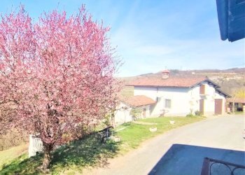 Casale Sale delle Langhe - foto 24