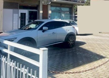 Shop Dozza - photo 14