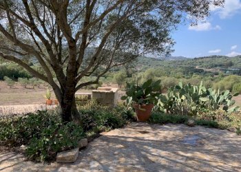 Villa Unifamiliare San Pantaleo Costa Smeralda, Olbia - foto 17