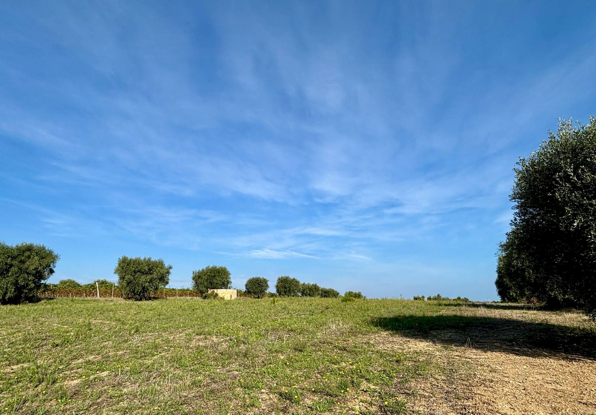 Terreno agricolo Grottammare - foto 2