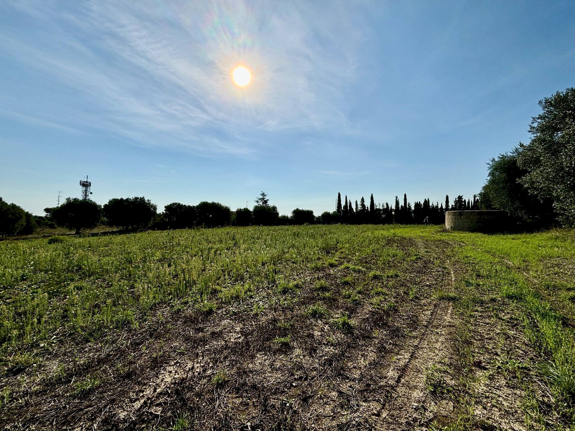 Terreno agricolo Grottammare - foto 3
