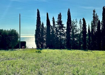 Terreno agricolo Grottammare - foto 4