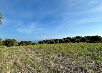 Terreno agricolo Grottammare - foto 6