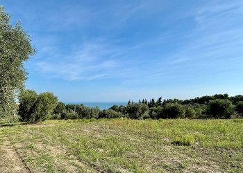 Terreno agricolo Grottammare - foto 7