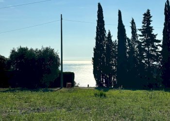 Terreno agricolo Grottammare - foto 8