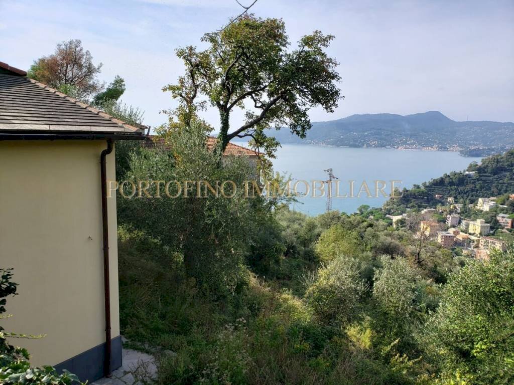 Vista - Villa piazza 27 Dicembre, Zoagli - photo 1