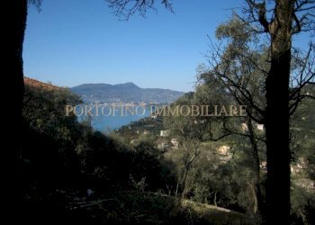 Vista - Villa piazza 27 Dicembre, Zoagli - foto 7