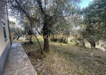 Terreno - Villa piazza 27 Dicembre, Zoagli - foto 9