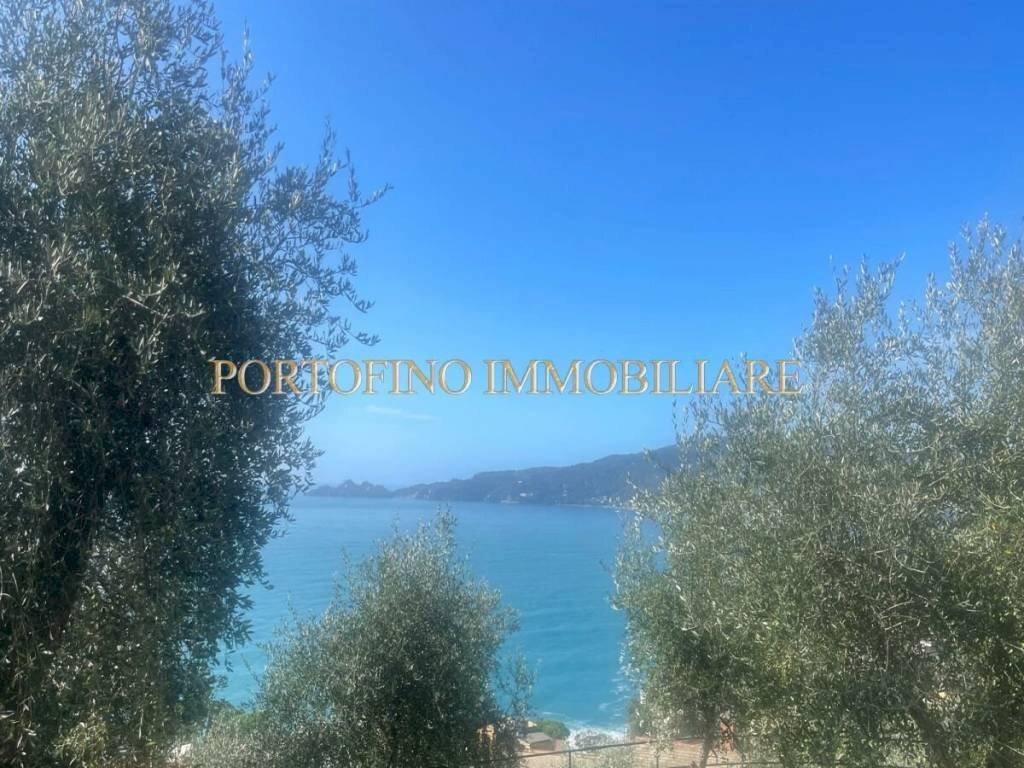 Vista - Villa piazza 27 Dicembre, Zoagli - photo 2