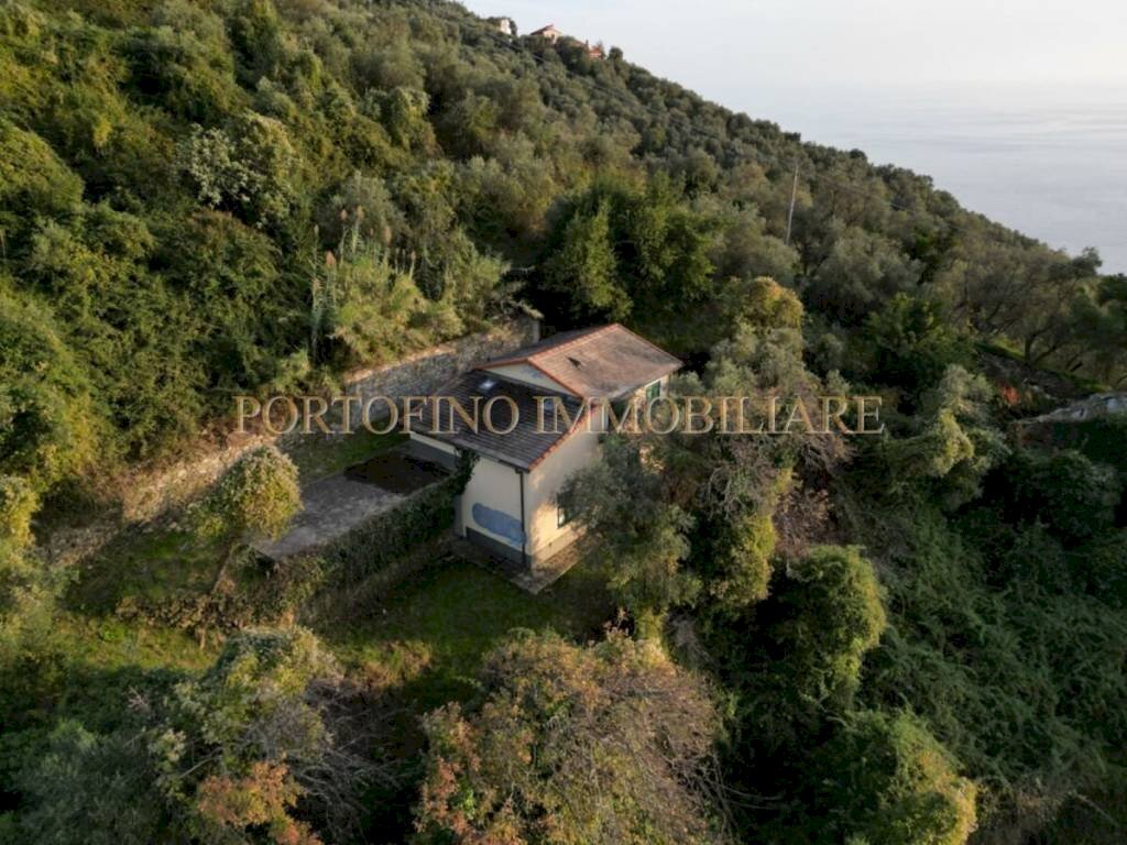 Vista - Villa piazza 27 Dicembre, Zoagli - photo 3