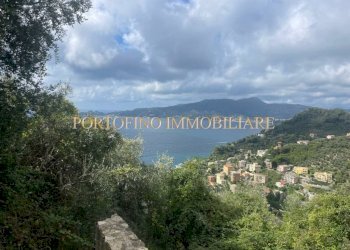 Vista - Villa piazza 27 Dicembre, Zoagli - foto 10