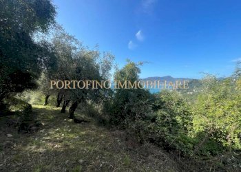 Terreno - Villa piazza 27 Dicembre, Zoagli - foto 16