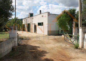 IMG_3620.jpg - Casale Monopoli - foto 3