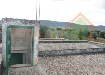 IMG_3615.jpg - Casale Monopoli - foto 6