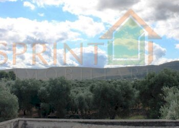 IMG_3609.jpg - Casale Monopoli - foto 9