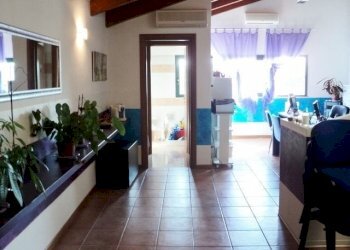 DSC01951 (640x480).jpg - Laboratorio San Benedetto del Tronto - foto 1