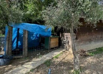 6.jpg - Villa all'asta Località Tirolo 58, Bolano - foto 5