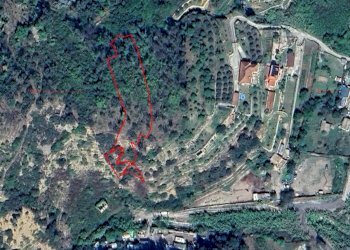 primo appezzamento - Terreno agricolo Via Umberto Lorenzi 27, Ventimiglia - foto 1