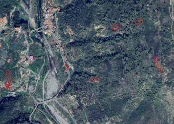 appezzamenti sparsi - Terreno agricolo Via Umberto Lorenzi 27, Ventimiglia - foto 2