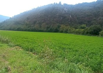 1727343694636.jpg - Terreno edificabile Via Stretta 7, Sabbio Chiese - foto 2