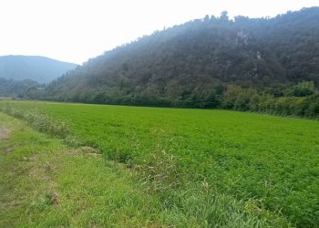 1727343665592.jpg - Terreno edificabile Via Stretta 7, Sabbio Chiese - foto 7