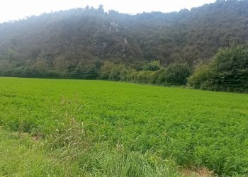 1727343665607.jpg - Terreno edificabile Via Stretta 7, Sabbio Chiese - foto 9