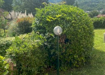 Villa Alassio - photo 25