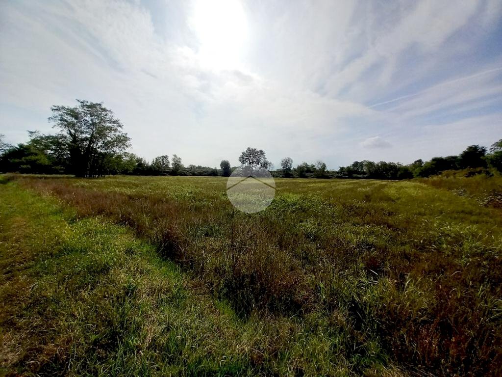 Agricultural land Via Carrera, Leini - photo 3