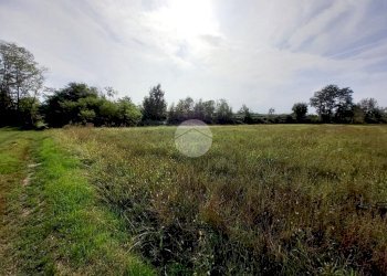 Agricultural land Via Carrera, Leini - photo 1