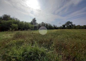 Agricultural land Via Carrera, Leini - photo 2