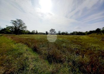 Agricultural land Via Carrera, Leini - photo 3