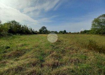 Agricultural land Via Carrera, Leini - photo 4