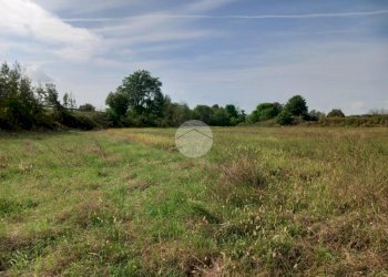 Agricultural land Via Carrera, Leini - photo 5