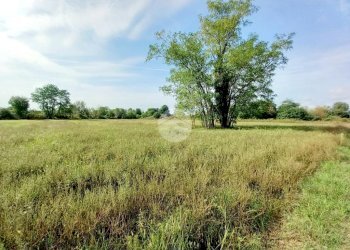 Agricultural land Via Carrera, Leini - photo 6
