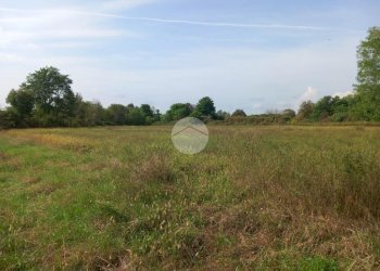 Agricultural land Via Carrera, Leini - photo 7