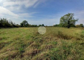 Agricultural land Via Carrera, Leini - photo 8