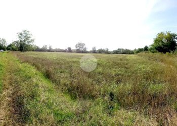 Agricultural land Via Carrera, Leini - photo 9