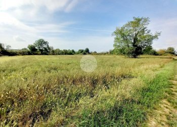 Agricultural land Via Carrera, Leini - photo 10