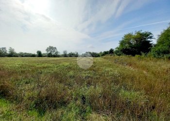Agricultural land Via Carrera, Leini - photo 11
