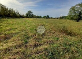 Agricultural land Via Carrera, Leini - photo 12