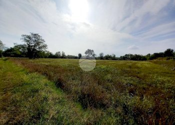 Agricultural land Via Carrera, Leini - photo 14