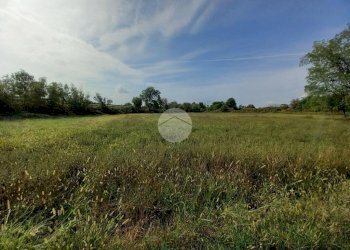 Agricultural land Via Carrera, Leini - photo 15