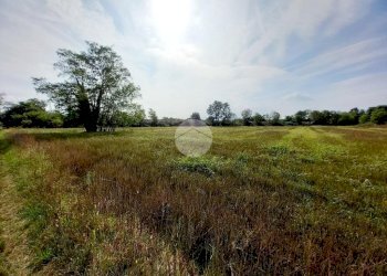 Agricultural land Via Carrera, Leini - photo 16