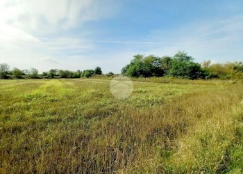 Agricultural land Via Carrera, Leini - photo 17