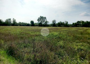 Agricultural land Via Carrera, Leini - photo 18