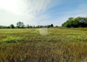 Agricultural land Via Carrera, Leini - photo 19