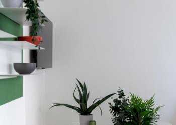 1a759e7e-3161-4d6d-b7ec-761befaf1e80.jpg - Appartamento Massa - foto 8