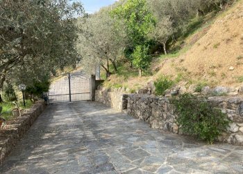 thumbnail_3e1534c4-90b4-47e6-9c82-7a898d778e80.jpg - Villa Via Provinciale 247, Castelnuovo Magra - photo 10