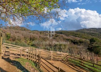 Splendida proprieta rurale - Citta della Pieve - L - Casale strada provinciale 309, Città della Pieve - foto 7