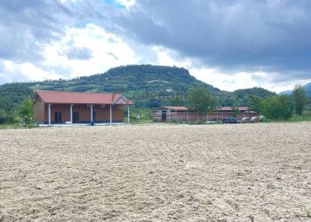Azienda agricola Civitella del Tronto - foto 14